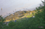 P0004125.JPG
