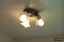 P0004161.JPG