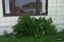 P0004169.JPG