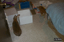 P0003877.JPG