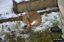 P0003832.JPG