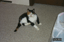 P0003771.JPG