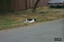 P0003687.JPG