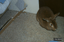 P0003884.JPG