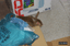 P0003994.JPG