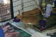 P0004105.JPG