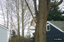 P0003561.JPG