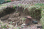 P0005991.JPG