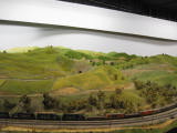 IMG_1919.JPG