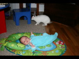 IMG_2034.JPG