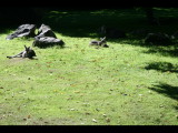 IMG_2157.JPG
