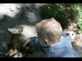 IMG_2159.JPG
