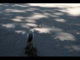 IMG_2171.JPG