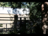IMG_2178.JPG
