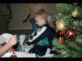 IMG_2781.JPG