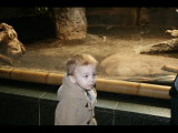 IMG_2911.JPG