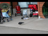 IMG_2947.JPG