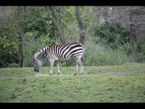 IMG_3054.JPG