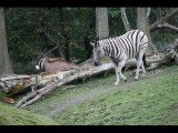IMG_3057.JPG