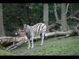 IMG_3058.JPG