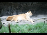 IMG_3068.JPG