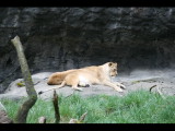 IMG_3069.JPG