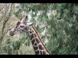 IMG_3071.JPG