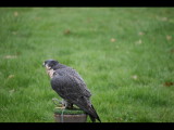 IMG_3089.JPG