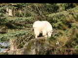 IMG_3123.JPG