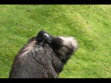IMG_3135.JPG
