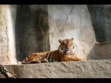 IMG_3141.JPG