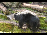 IMG_3143.JPG