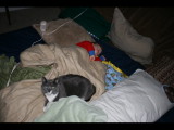 IMG_3186.JPG