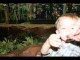 IMG_3250.JPG