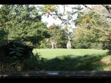 IMG_4358.JPG