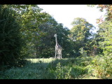 IMG_4360.JPG
