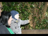 IMG_4375.JPG