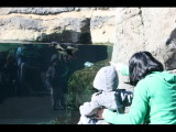 IMG_4405.JPG