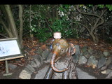 IMG_4417.JPG