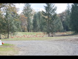 IMG_4457.JPG