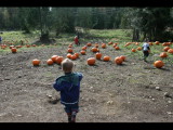 IMG_4472.JPG
