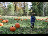 IMG_4475.JPG