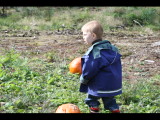 IMG_4477.JPG