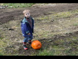 IMG_4478.JPG