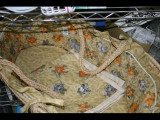 IMG_5271.JPG