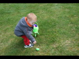 IMG_5351.JPG