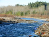 DSCN3781.JPG