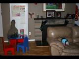 IMG_5520.JPG