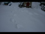 IMG_5541.JPG