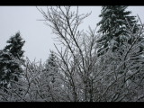 IMG_5542.JPG